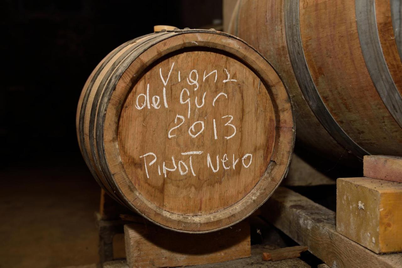 לינה וארוחת בוקר Pietra dei Giorgi Gli Acini מראה חיצוני תמונה